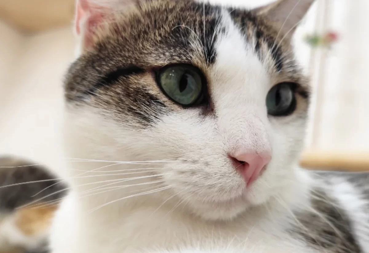 noticia-catalunyaxpress