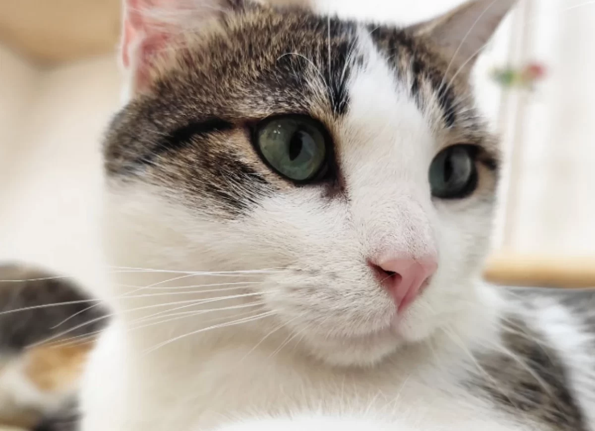 noticia-catalunyaxpress